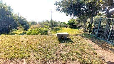 Incantevole Deposito Ristrutturato con Frutteto