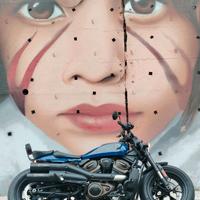 Harley-Davidson Sportster S - 2021