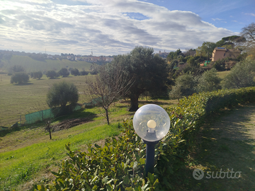 Terreno fertile per il tuo nuovo orto