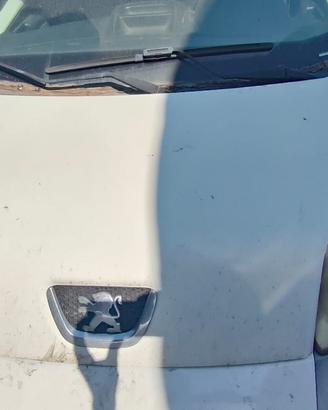 PEUGEOT BIPPER 2011 COFANO ANTERIORE