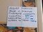 Immagine 6
