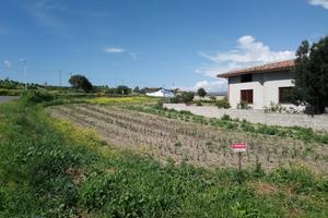 Terreno edificabile 10km da Sanluri vista Giara