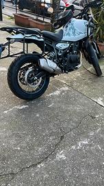 Telaietti monokey PL9059