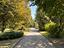 Immagine 18