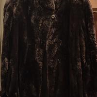 pelliccia di castoro 