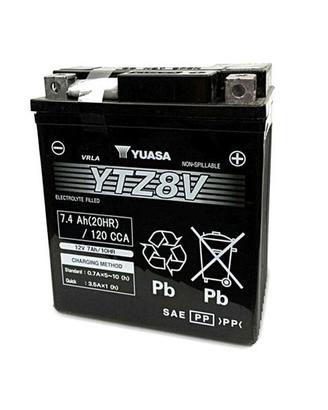 BATTERIA YUASA