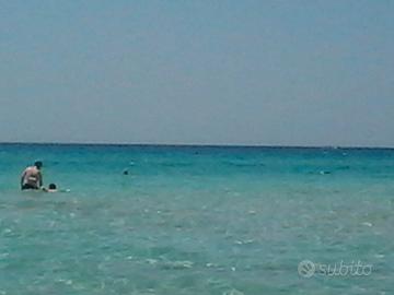 Agosto vacanze super economiche