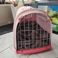 trasportino per gatti 