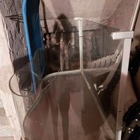 Tartarughiera e i suoi accessori