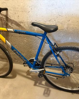 Mountain Bike cross