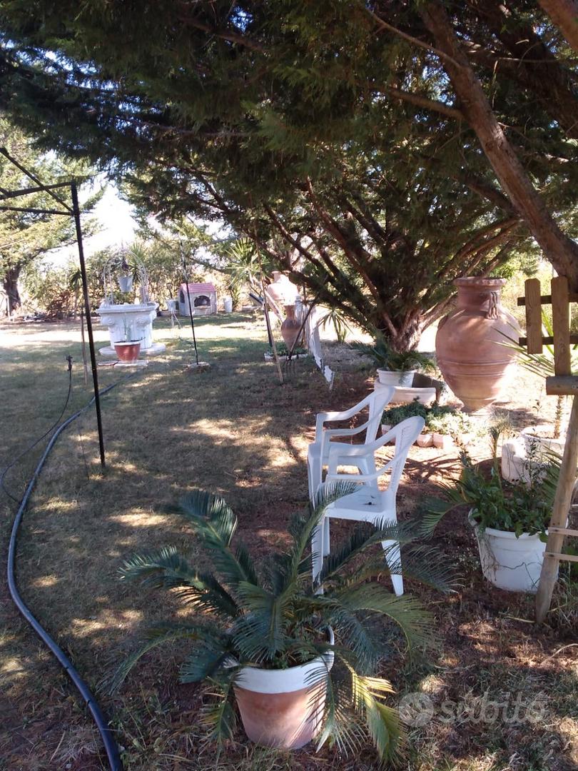 Casa – Pisticci, Rione Portobello - Vista 5