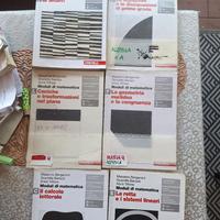 Lotto moduli di matematica Zanichelli 