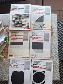 Lotto moduli di matematica Zanichelli 