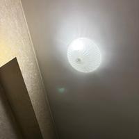 plafoniera in vetro murano (coppia)