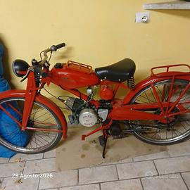 Guzzi  cardellino del 1954
