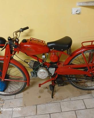 Guzzi  cardellino del 1954