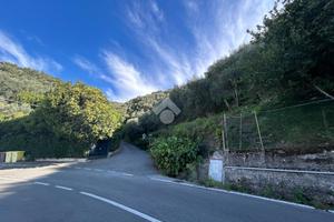 TER. AGRICOLO A LAVAGNA