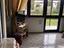 Immagine 15