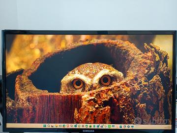 Monitor Samsung  FullHD 24 pollici