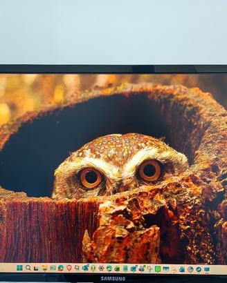 Monitor Samsung  FullHD 24 pollici