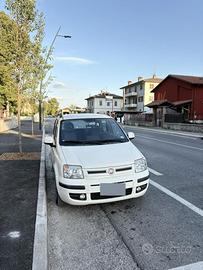 Panda fiat