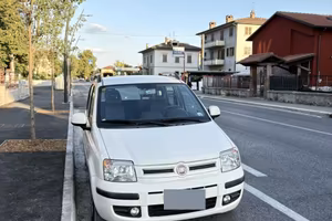Panda fiat