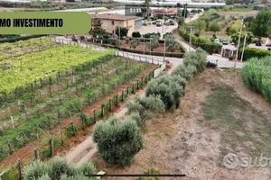 Terreno Agricolo Terracina fronte strada