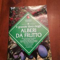 ALBERI DA FRUTTO