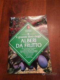 ALBERI DA FRUTTO