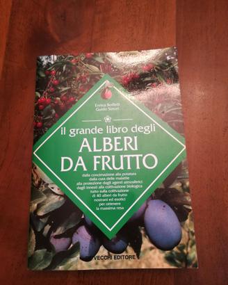 ALBERI DA FRUTTO