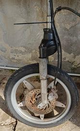Ammortizzatore  Forcella Disco Scarabeo Aprilia 50