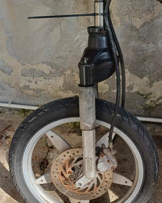 Ammortizzatore  Forcella Disco Scarabeo Aprilia 50