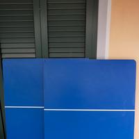 Tavolo da ping pong