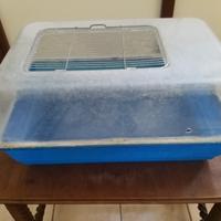 vaschetta per tartarughe 