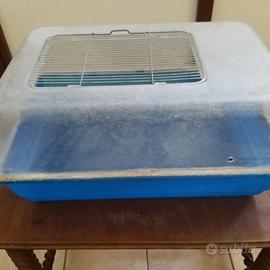 vaschetta per tartarughe 