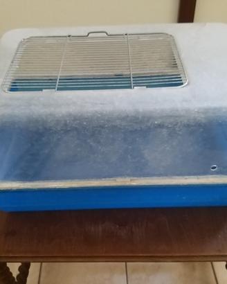 vaschetta per tartarughe 