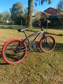 Bmx Lombardo