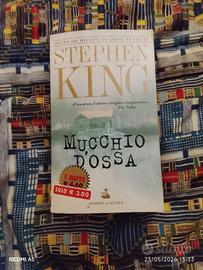 Romanzo thriller di Stephen King 