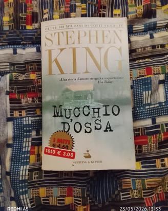 Romanzo thriller di Stephen King 
