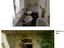 Immagine 6