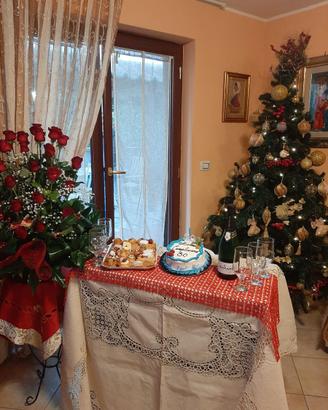 albero di natale "nuovo" completo di luci e addob