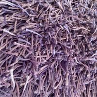 tappeto chateau d’ax