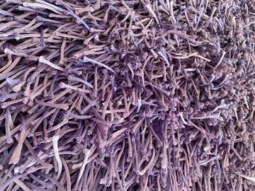 tappeto chateau d’ax