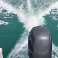 Barca con fuoribordo Yamaha 150cv