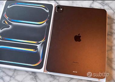 IPad pro 11 256 gb Chip M4