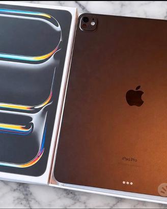 IPad pro 11 256 gb Chip M4