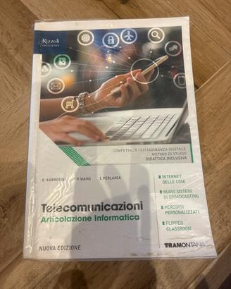 Telecomunicazioni, articolazioni informatica.