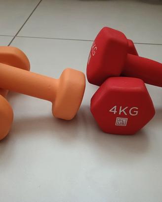 pesetti palestra