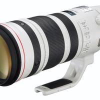 Canon 200-400mm f4L IS USM Extender 1.4x
