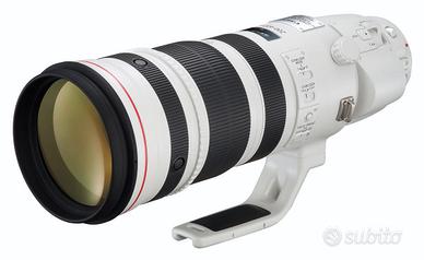 Canon 200-400mm f4L IS USM Extender 1.4x